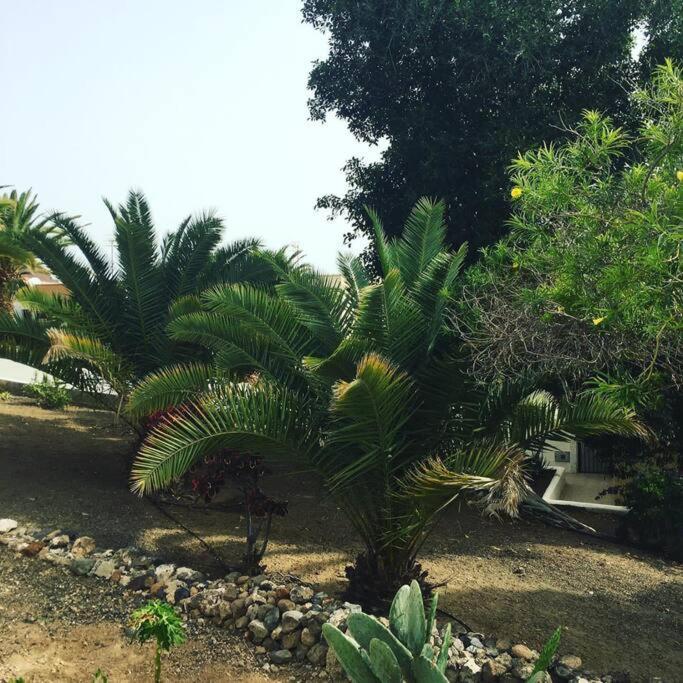 La Tejita Beachhouse מראה חיצוני תמונה